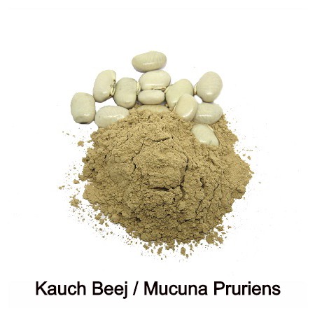 Kauch Beej/Mucuna Pruriens